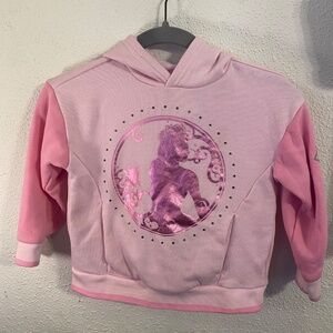 Pink Wicked Hoodie XS 4/5
